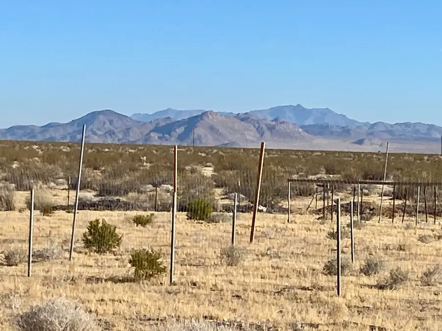 104 Joshua Tree Road, Johnson Valley, CA 92285 - #3