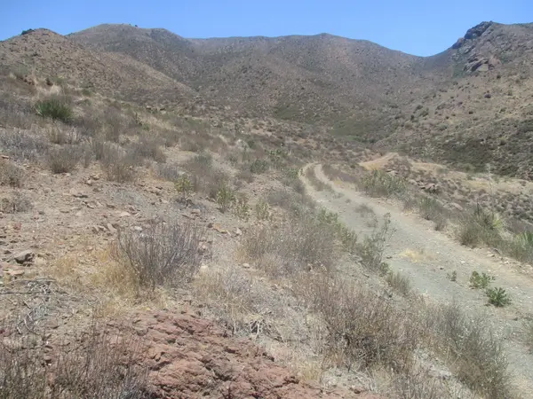 028 N Hughes Canyon, Acton, CA 93510