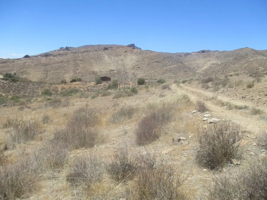 028 N Hughes Canyon, Acton, CA 93510 - #2