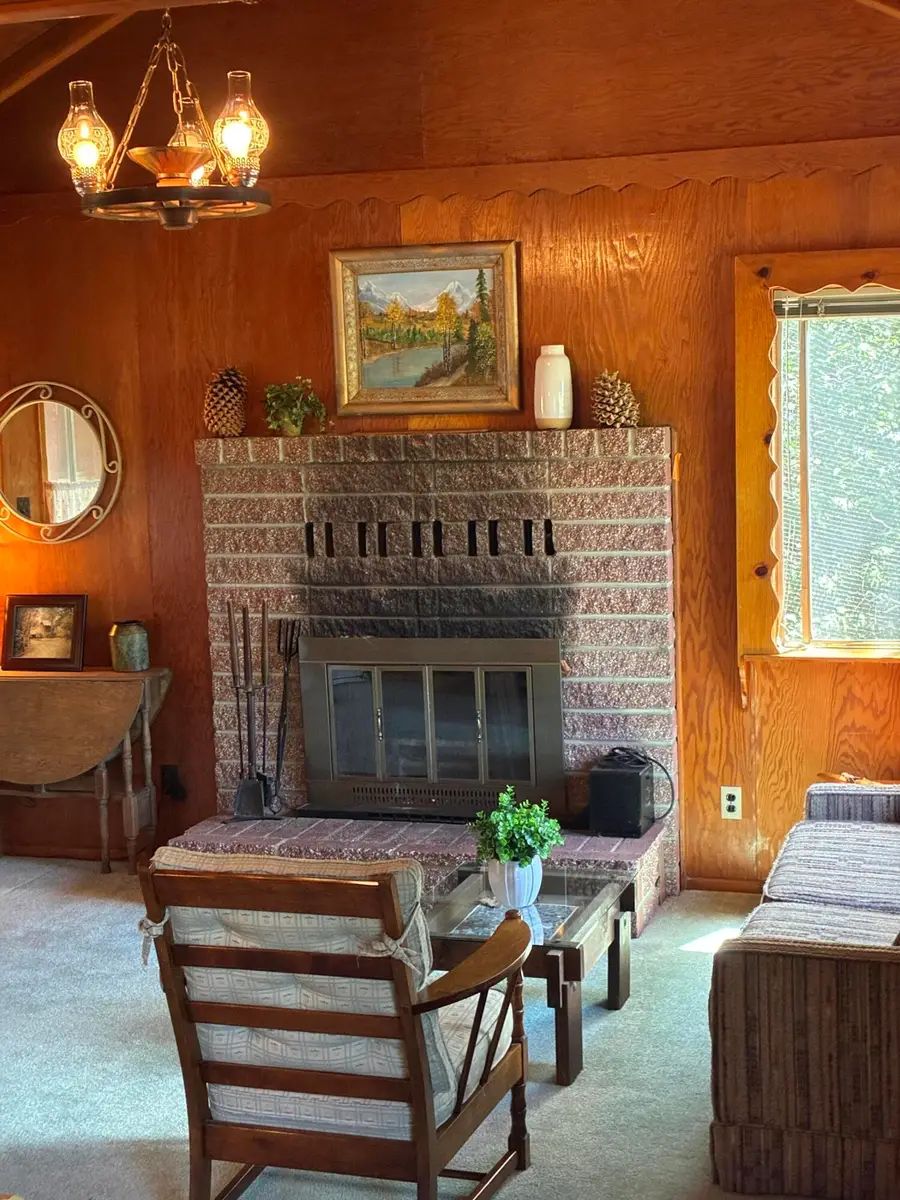 53033 Mountain View Drive, Idyllwild, CA 92549 - #3