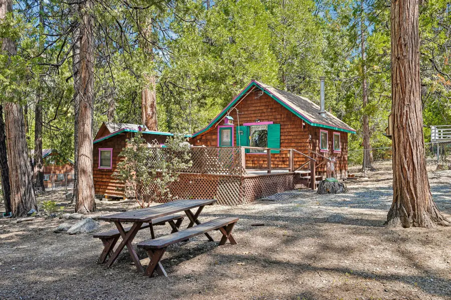25145 Fern Valley Road, Idyllwild, CA 92549 - #2