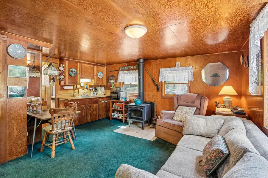 25145 Fern Valley Road, Idyllwild, CA 92549 - #3