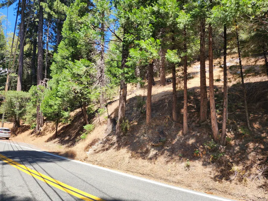 0 Dart Canyon Road, Crestline, CA 92325 - #2