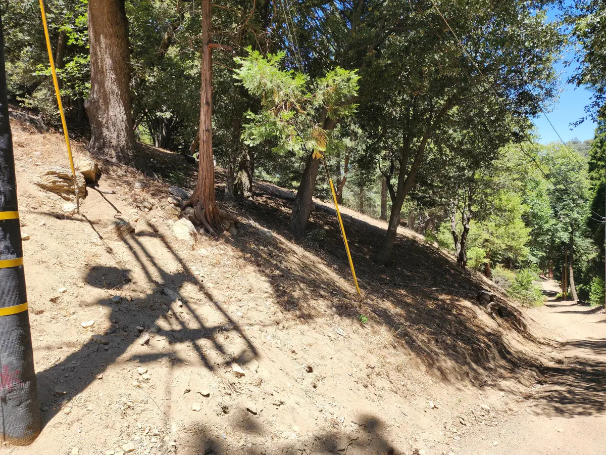 0 Burnt Mill Canyon Road, Cedarpines Park, CA 92322 - #1