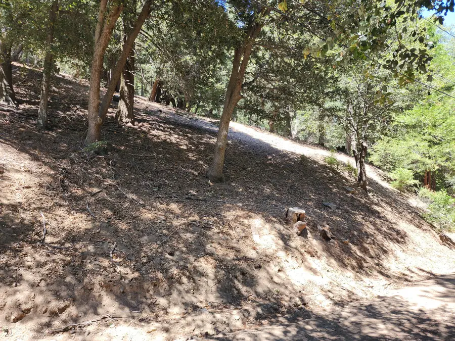 0 Burnt Mill Canyon Road, Cedarpines Park, CA 92322 - #2