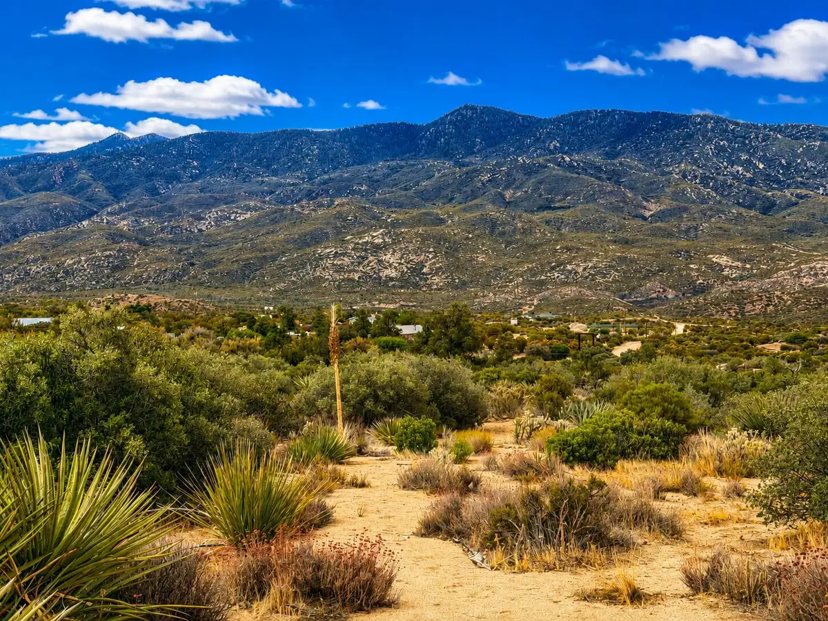 214 Chalet Drive, Mountain Center, CA 92561 - #1