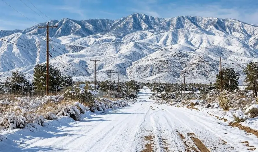 63330 Jeraboa Road, Mountain Center, CA 92561 - #3