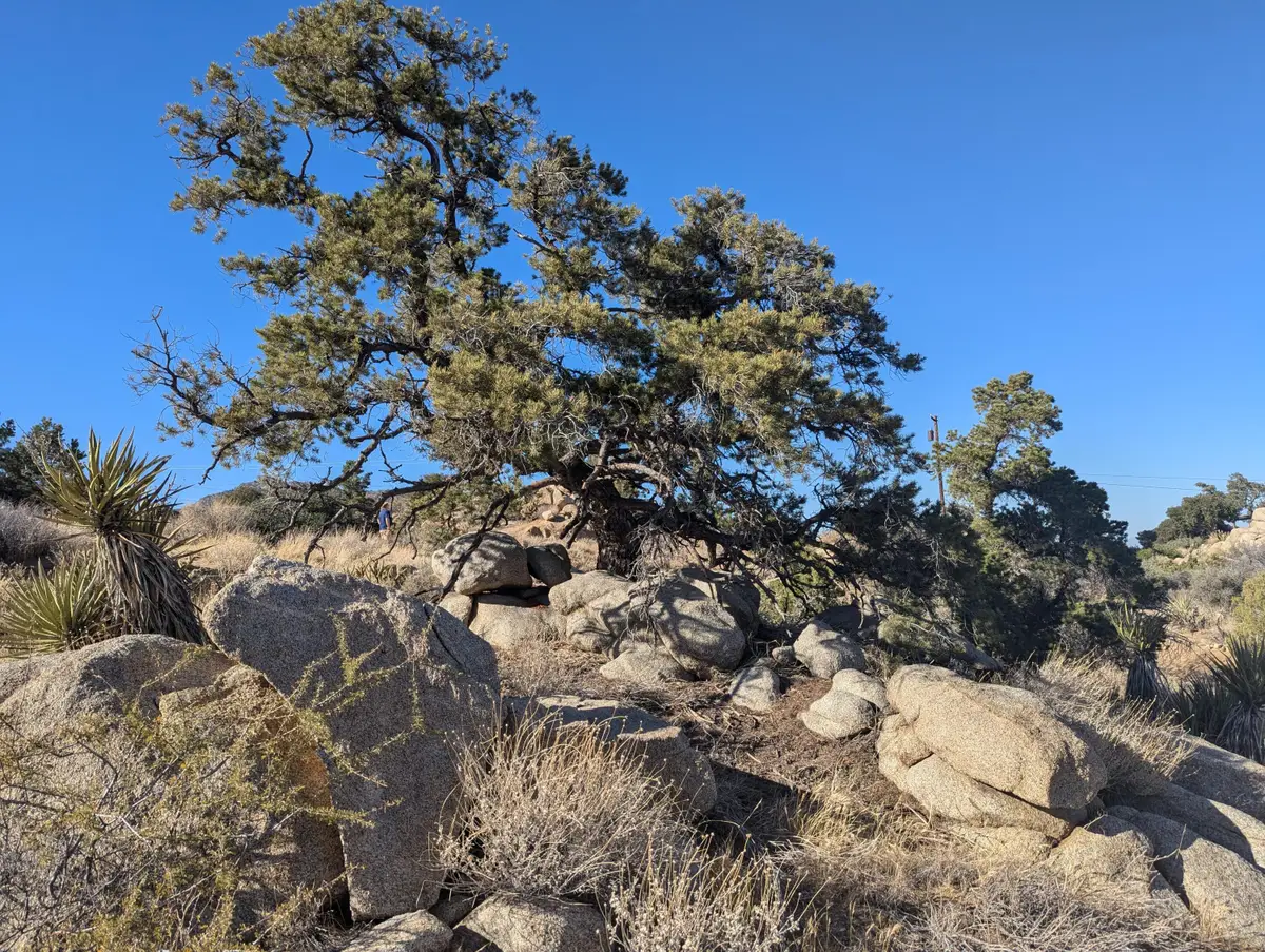 Lot 84 Mountain Park Road, Mountain Center, CA 92561 - #1