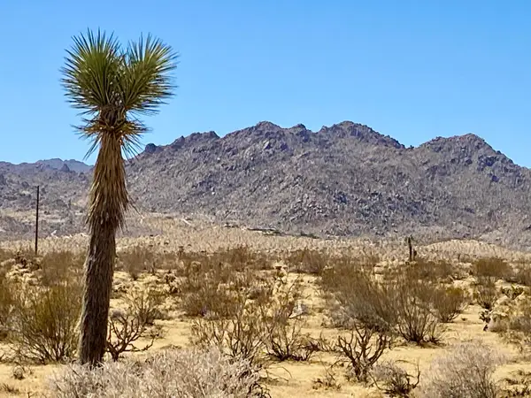 109 Border Avenue, Joshua Tree, CA 92252
