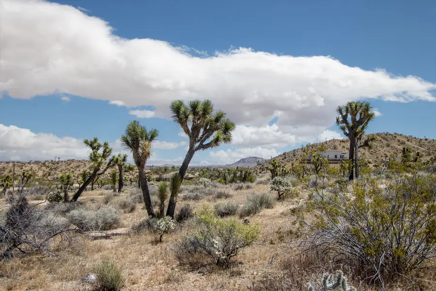 57823 Hilton Lane, Yucca Valley, CA 92284 - #3