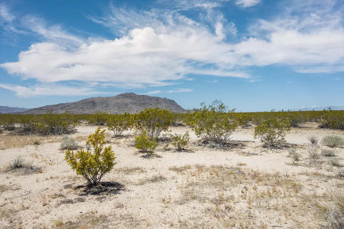 3375 Sunset Road, Joshua Tree, CA 92252 - #1