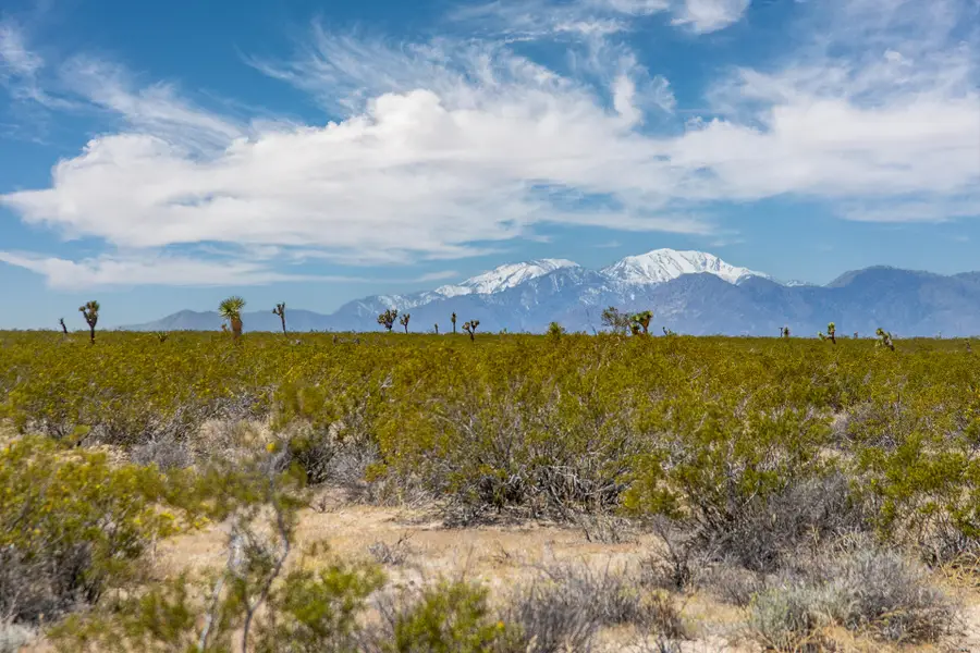 3375 Sunset Road, Joshua Tree, CA 92252 - #3