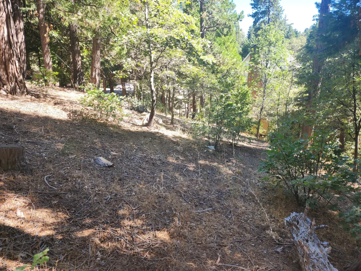 0 Grass Valley, Lake Arrowhead, CA 92352 - #1