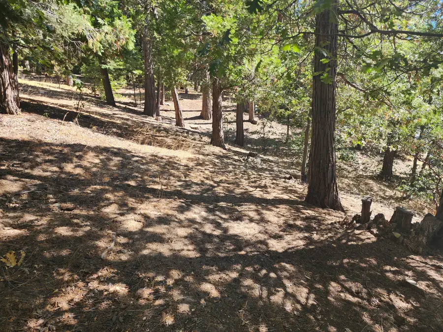 0 Grass Valley, Lake Arrowhead, CA 92352 - #3