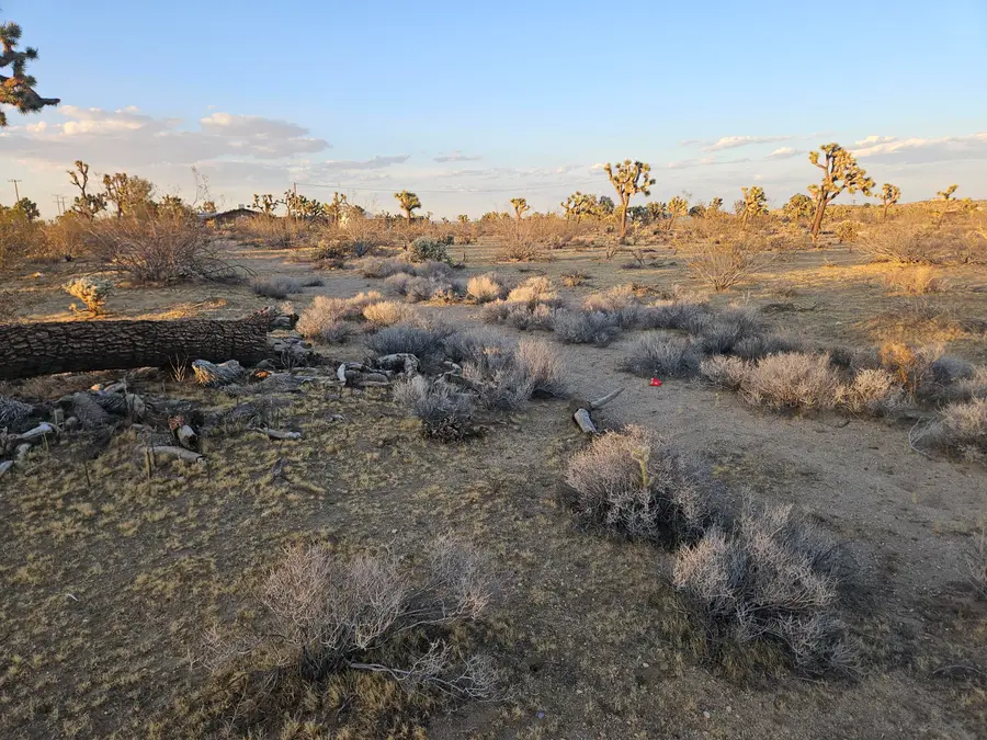 010 Yucca Mesa Road, Yucca Valley, CA 92284 - #2