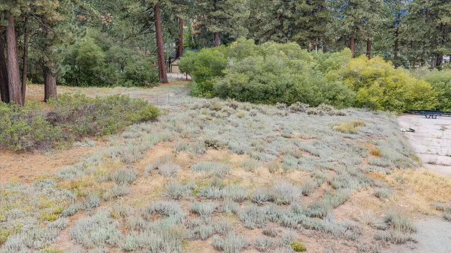 745 Stocker Road, Big Bear Lake, CA 92315 - #3