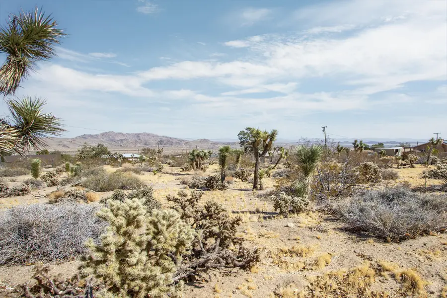 60586 La Mirada Trail, Joshua Tree, CA 92252 - #3