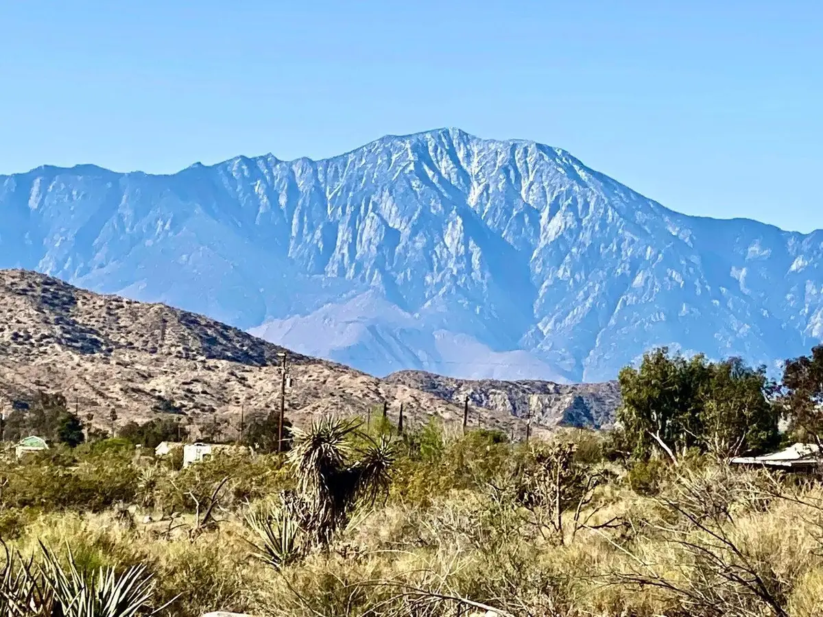135 Bardell Road, Morongo Valley, CA 92256 - #1