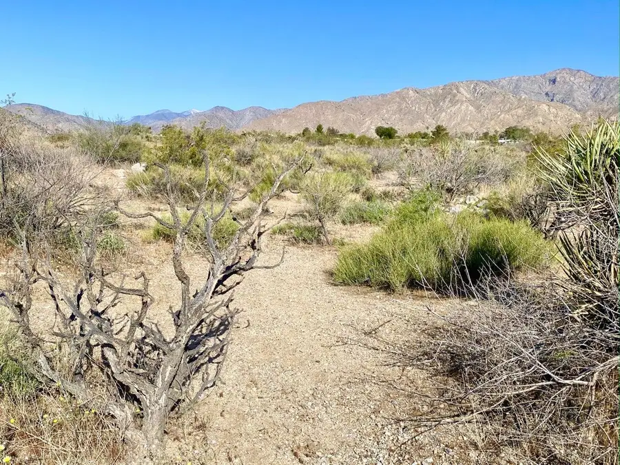 135 Bardell Road, Morongo Valley, CA 92256 - #3