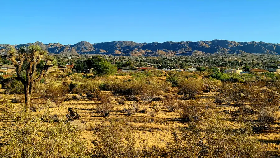 6186 El Reposo Street, Joshua Tree, CA 92252 - #2