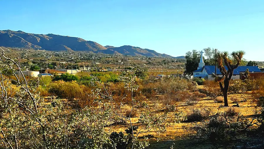6186 El Reposo Street, Joshua Tree, CA 92252 - #3