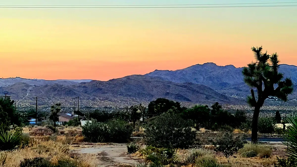 60307 Alta Loma Drive, Joshua Tree, CA 92252 - #1