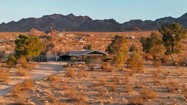 51155 Ocotillo Road, Johnson Valley, CA 92285