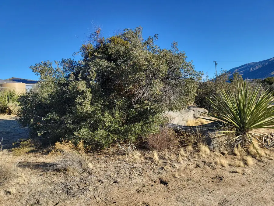0 Zurich Avenue, Mountain Center, CA 92561 - #2