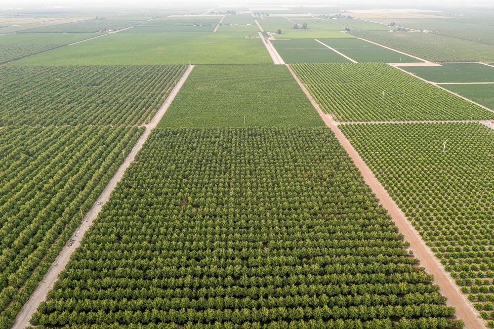 0 Conjeo, Selma, CA 93662 BHGRE