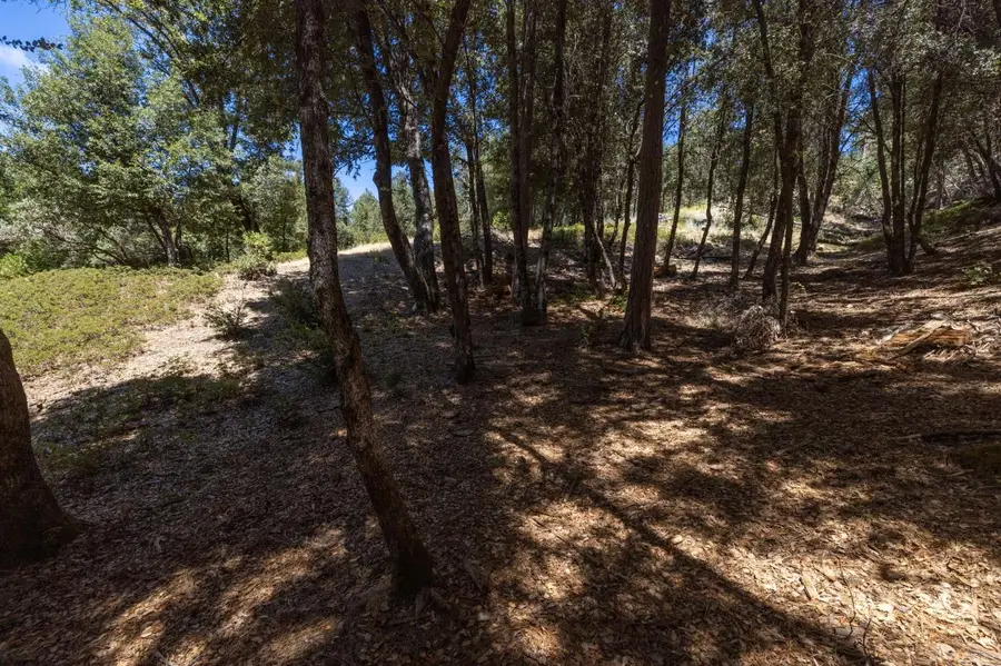 8 N Cedar Vista Circle, Bass Lake, CA 93604 - #3