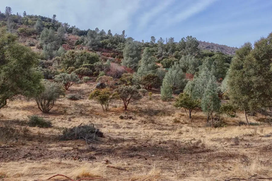 2 Stillmeadow Lane, Oakhurst, CA 93644 - #2