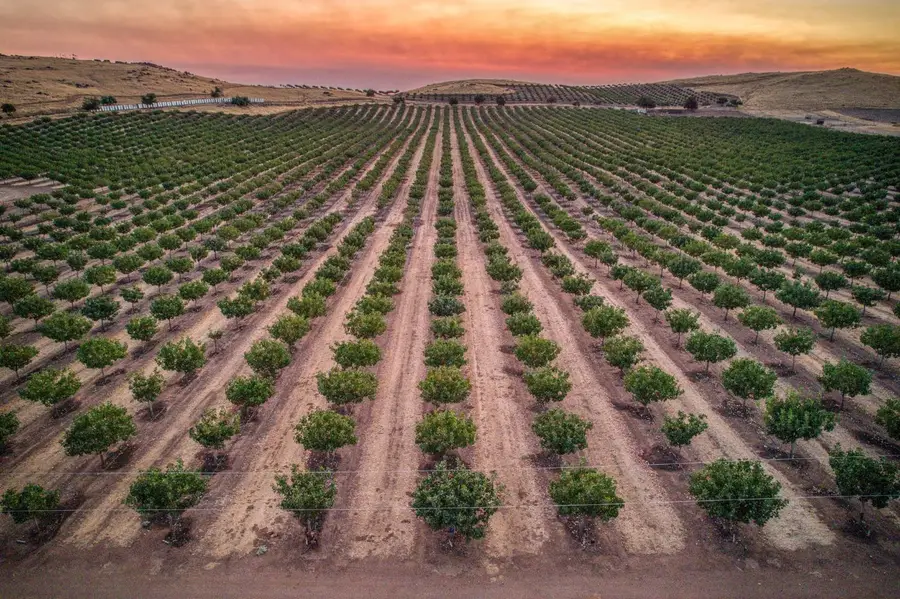 13638 E Shepherd Avenue, Clovis, CA 93619 - Image #2