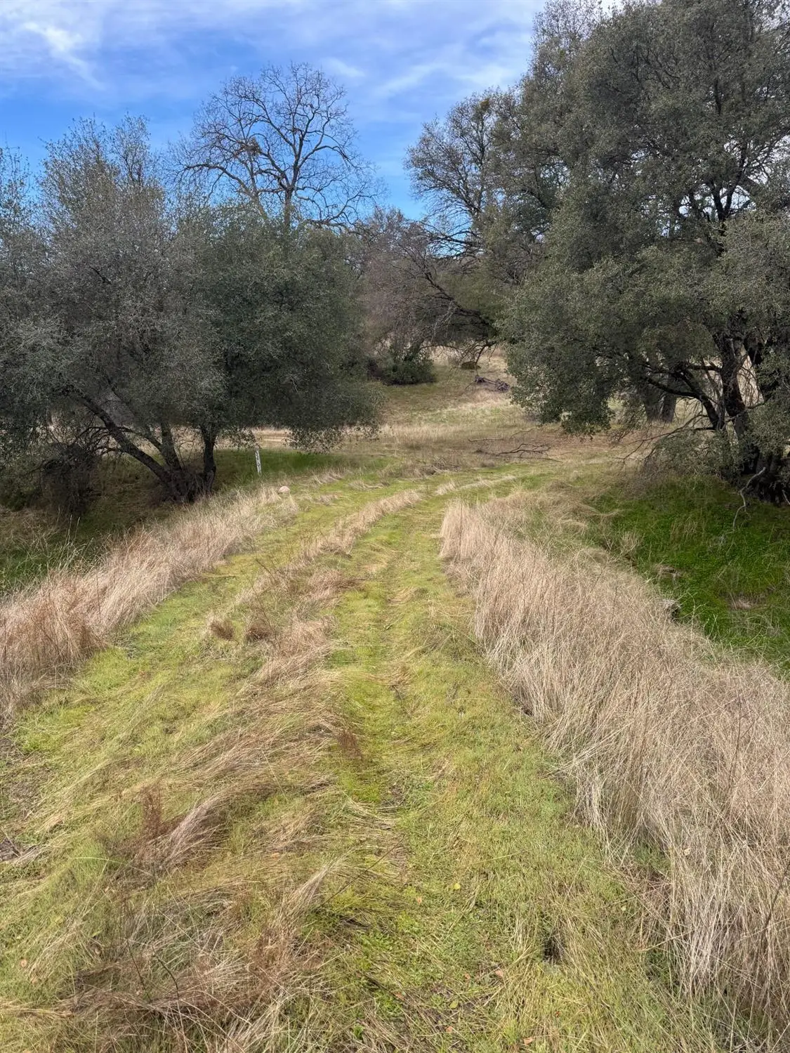 3270 Wildcat Road, Mariposa, CA 95338 - Image #1