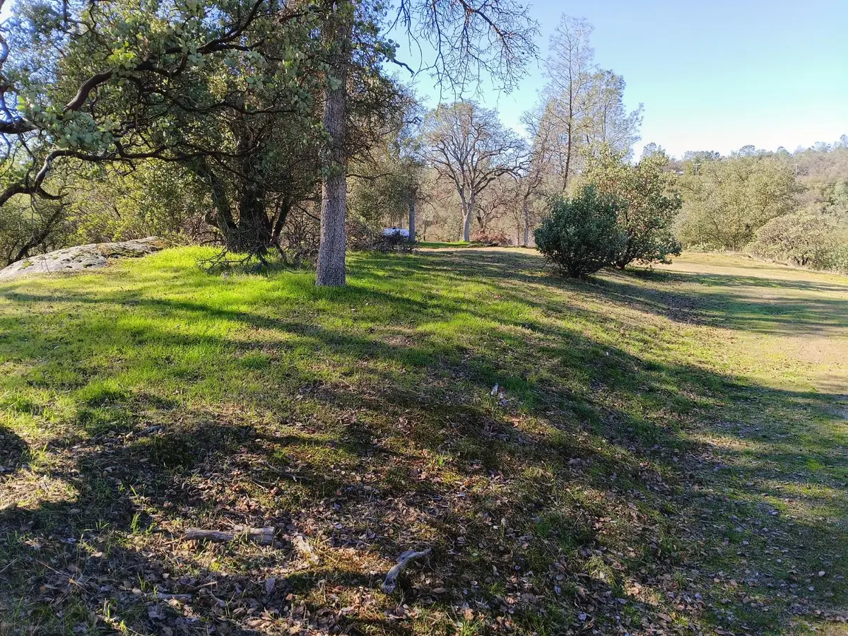 0 Deep Forest Drive, Coarsegold, CA 93614 - Image #1