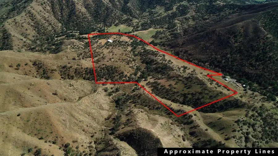 41346 Mineral Springs Road, Coalinga, CA 93210 - Image #3