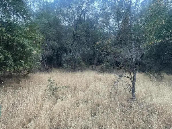 40 Apache Ranch, Ahwahnee, CA 93601