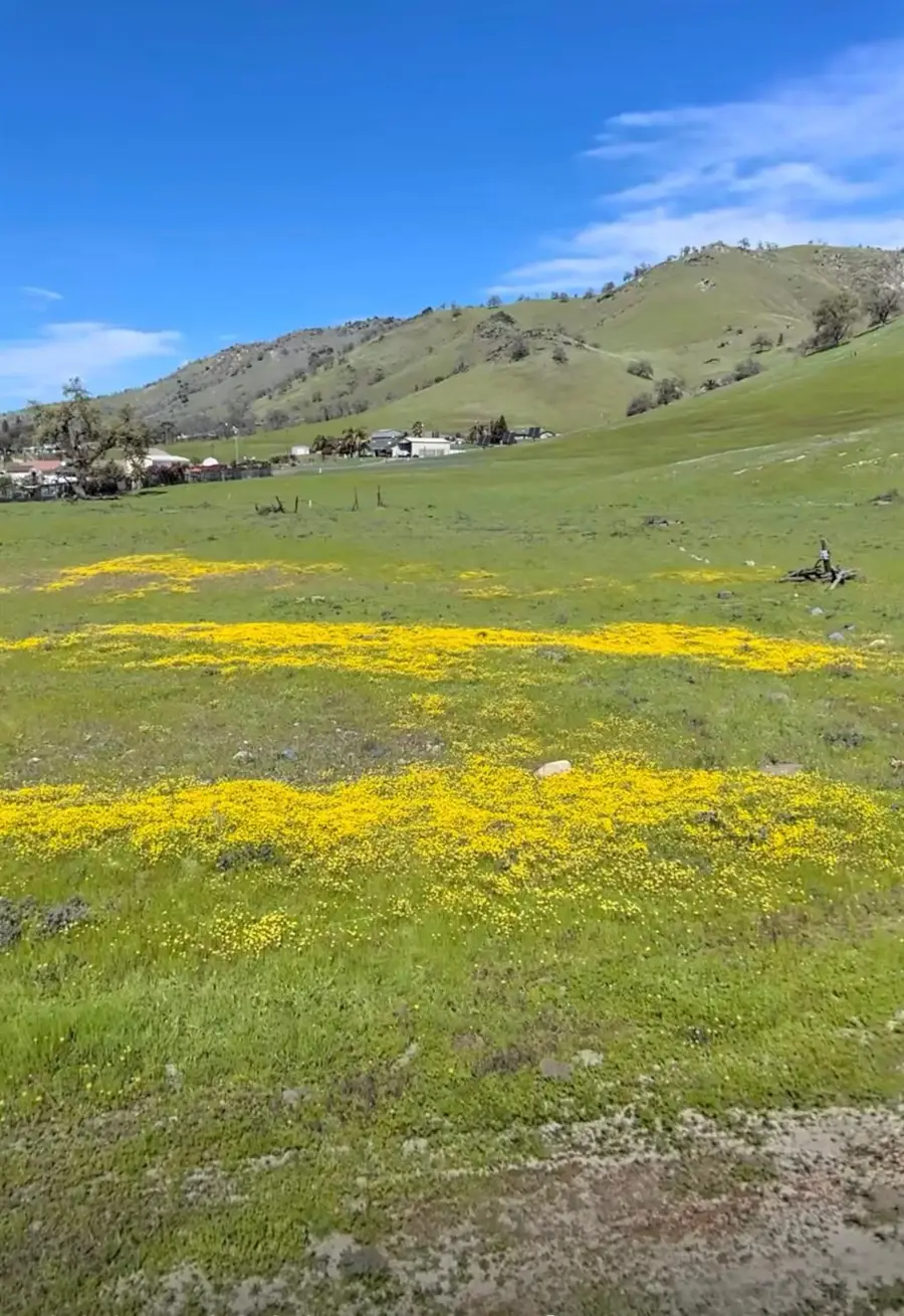 6050 Dogwood Lane, Sanger, CA 93657 - #2