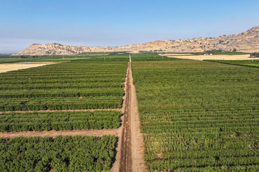 3905 S Hills Valley Road, Orange Cove, CA 93646 - Image #2