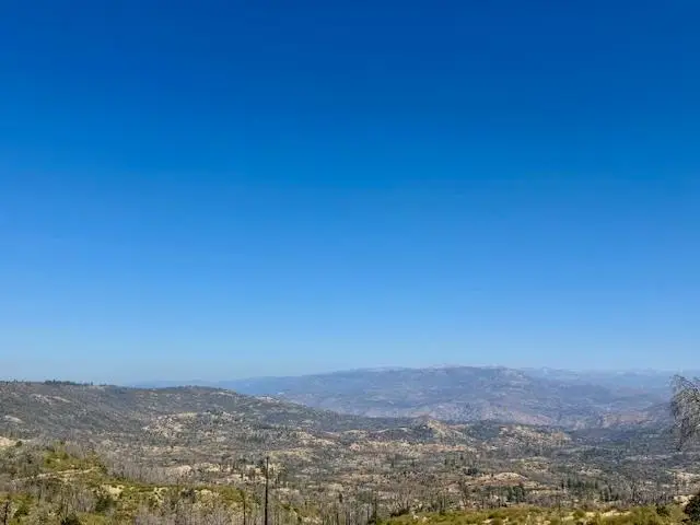 #1