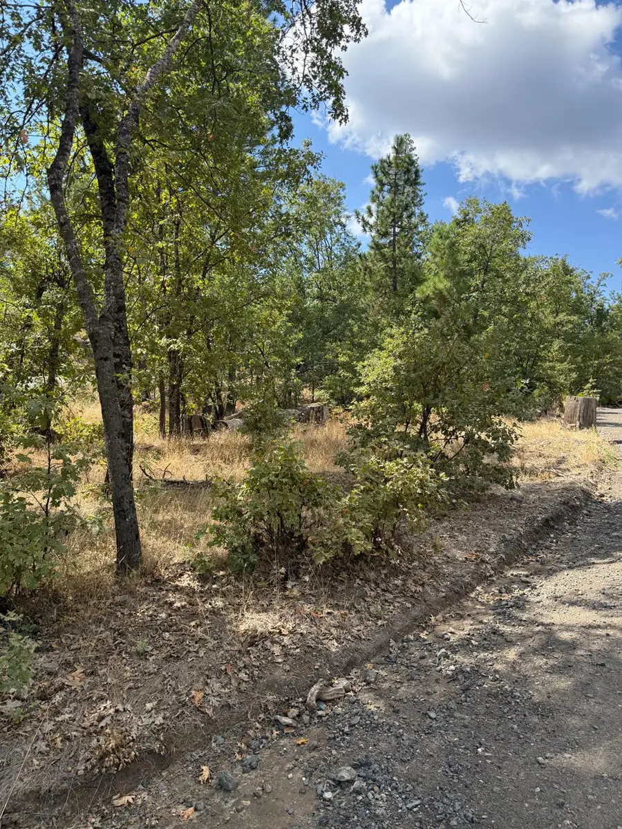 6479 Pine Dr., Coulterville, AP 96311 - Image #2