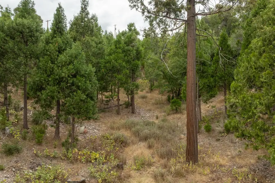 26 Timberview Road, North Fork, CA 93643 - Image #2