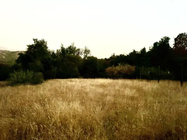 369 Hogback, Miramonte, CA 93641