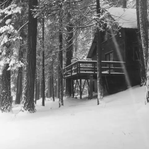 130490 Providence Creek Road, Shaver Lake, CA 93664 - Image #3