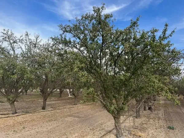 1105 E Rose Avenue, Fresno, CA 93725