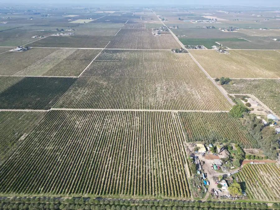 529 W. Floral Avenue, Fresno, CA 93707 - Image #3