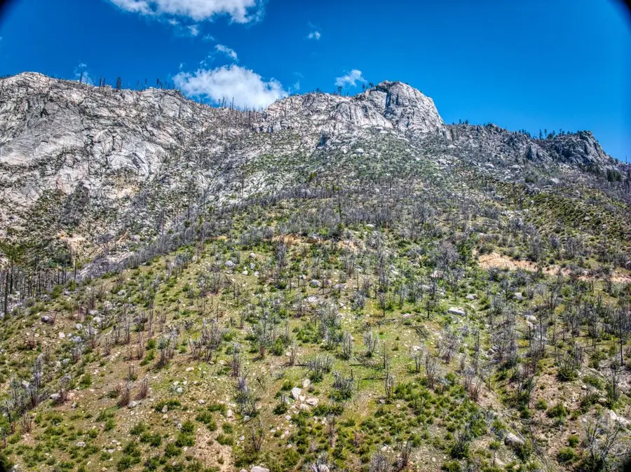 55277 Jungle Town Lane, Big Creek, CA 93605 - Image #3