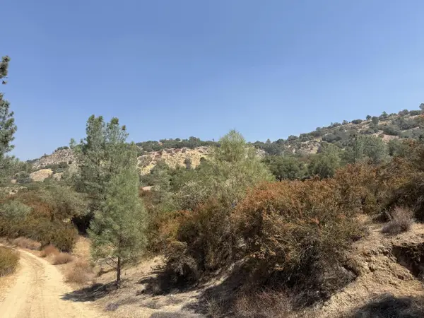 8 Monarch Canyon Road, Coarsegold, CA 93614