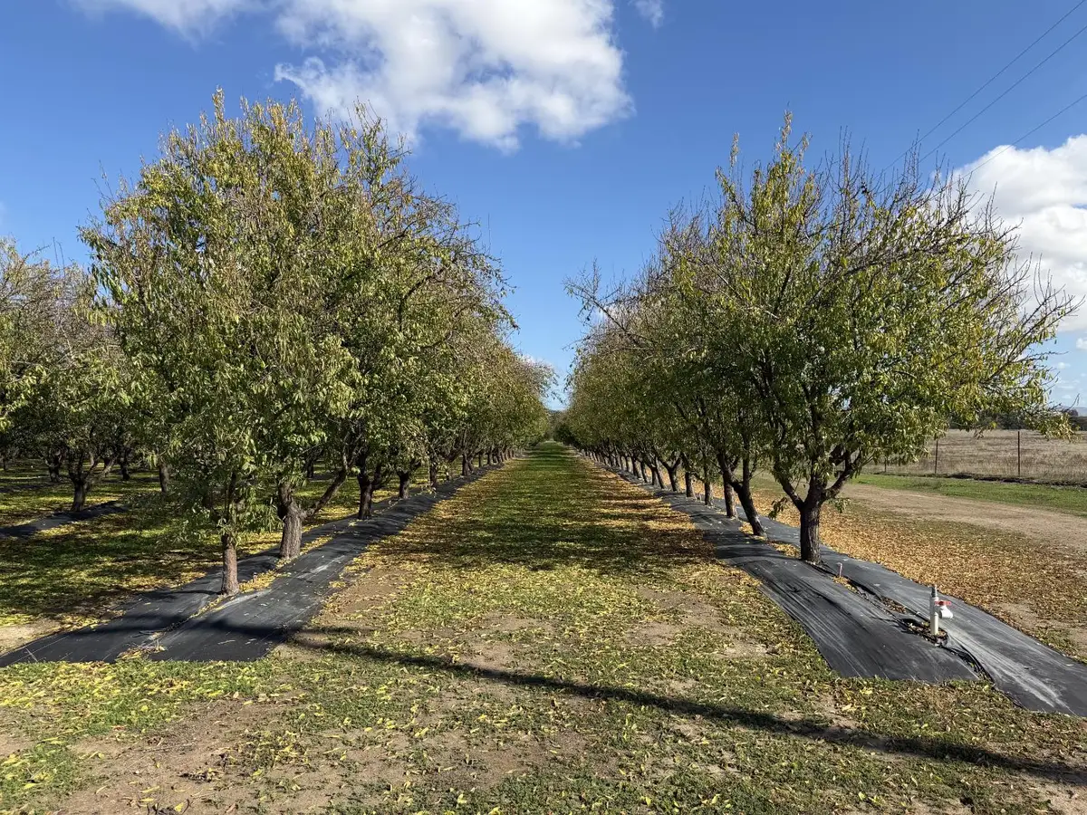 13571 Wimer, Farmington, CA 95326 - Image #1