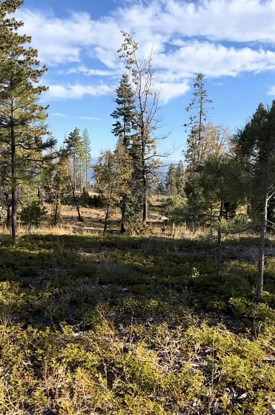 0 Shaver Lake, Auberry, CA 93602 - Image #2