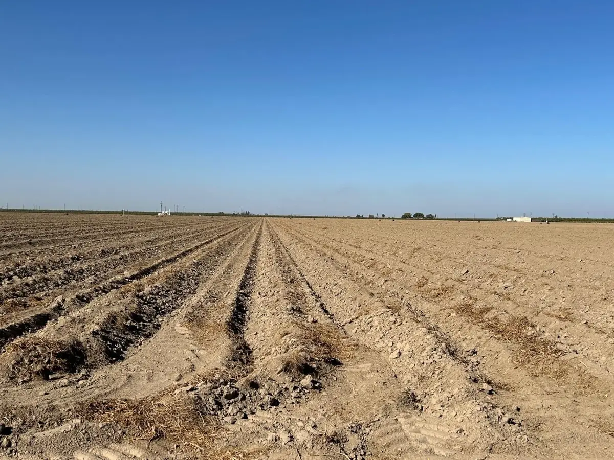 5394 Road 24 1/2, Madera, CA 93637 - Image #1